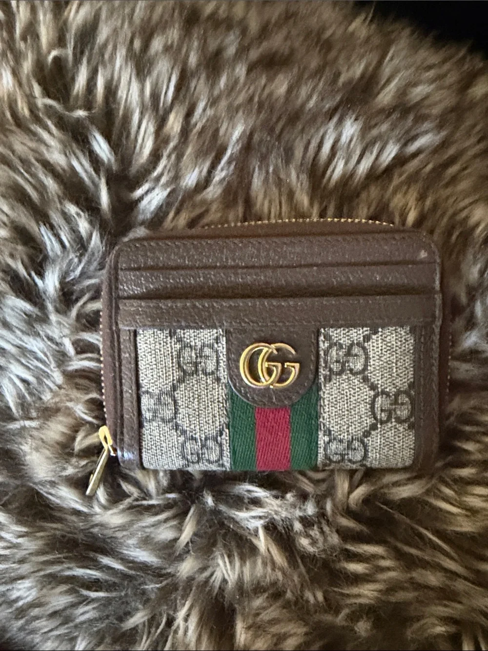 N/A stylish gucci